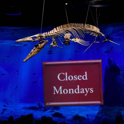 Každé první pondělí v měsíci Dinosauria Museum zavřeno