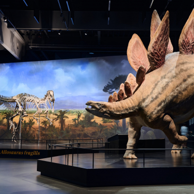 Dinosauří megakvíz 3. 2. v Dinosauria Museum Prague